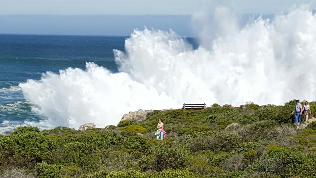 Auberge Provence Hermanus Exteriör bild